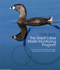 The Great Lakes Marsh Monitoring Program