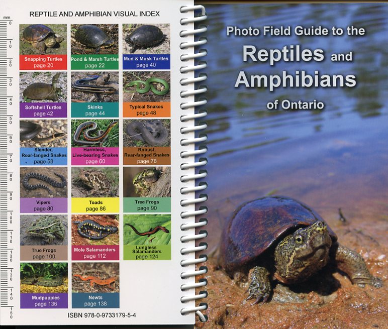 Reptiles and Amphibians of Ontario