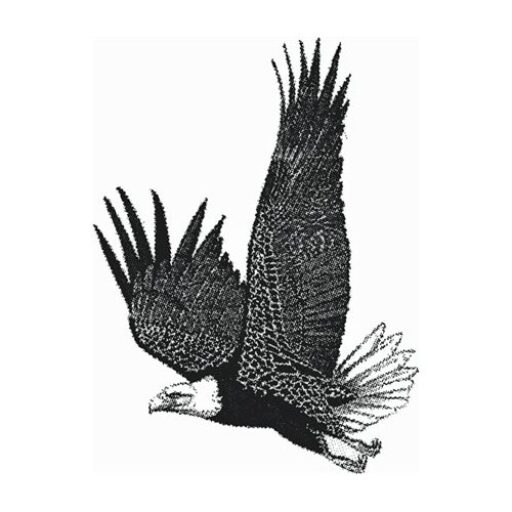 St. Thomas Field Naturalist Club