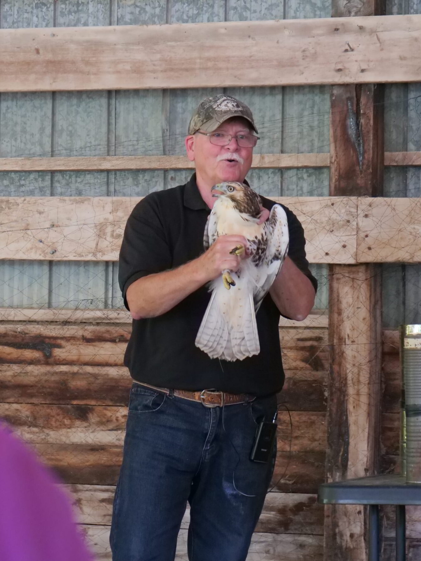 Al Hurst holding Red-tailed Hawk